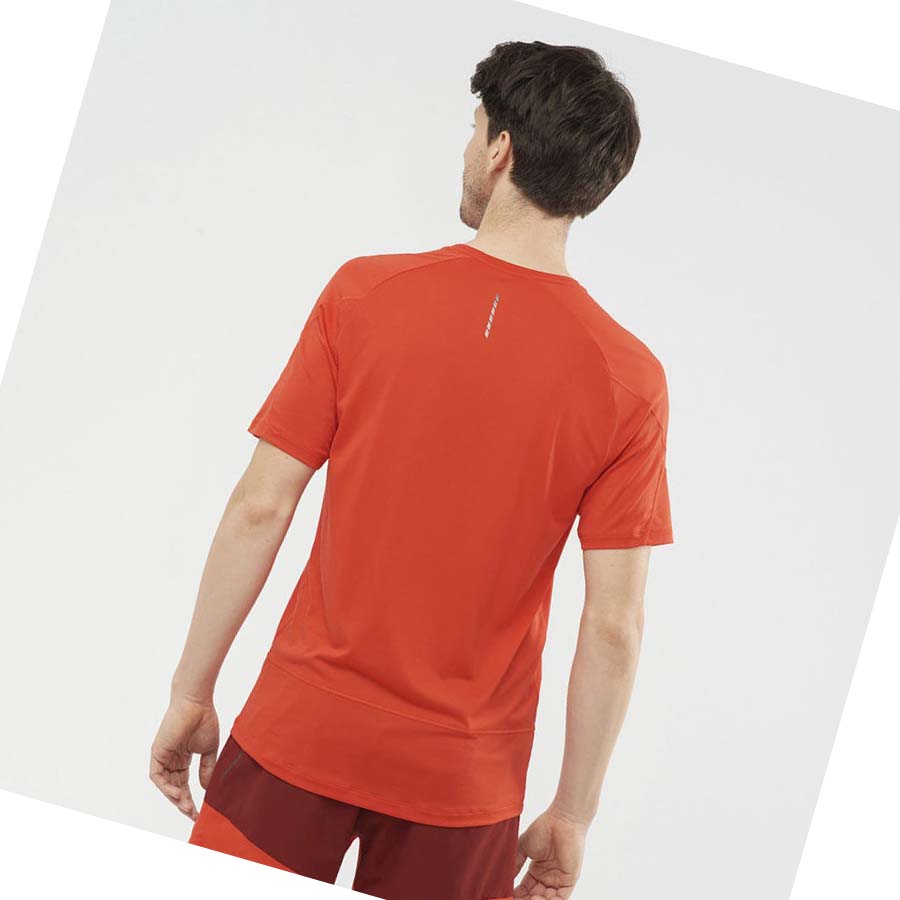 Camiseta Salomon CROSS RUN Hombre Naranjas | MX 3231YXF